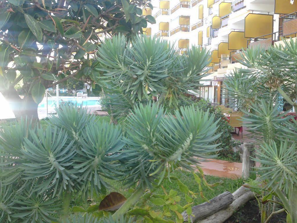 Apartamentos Europa 普拉亚戴尔雷安格莱斯 外观 照片